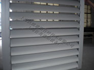 Fusiform blinds 3